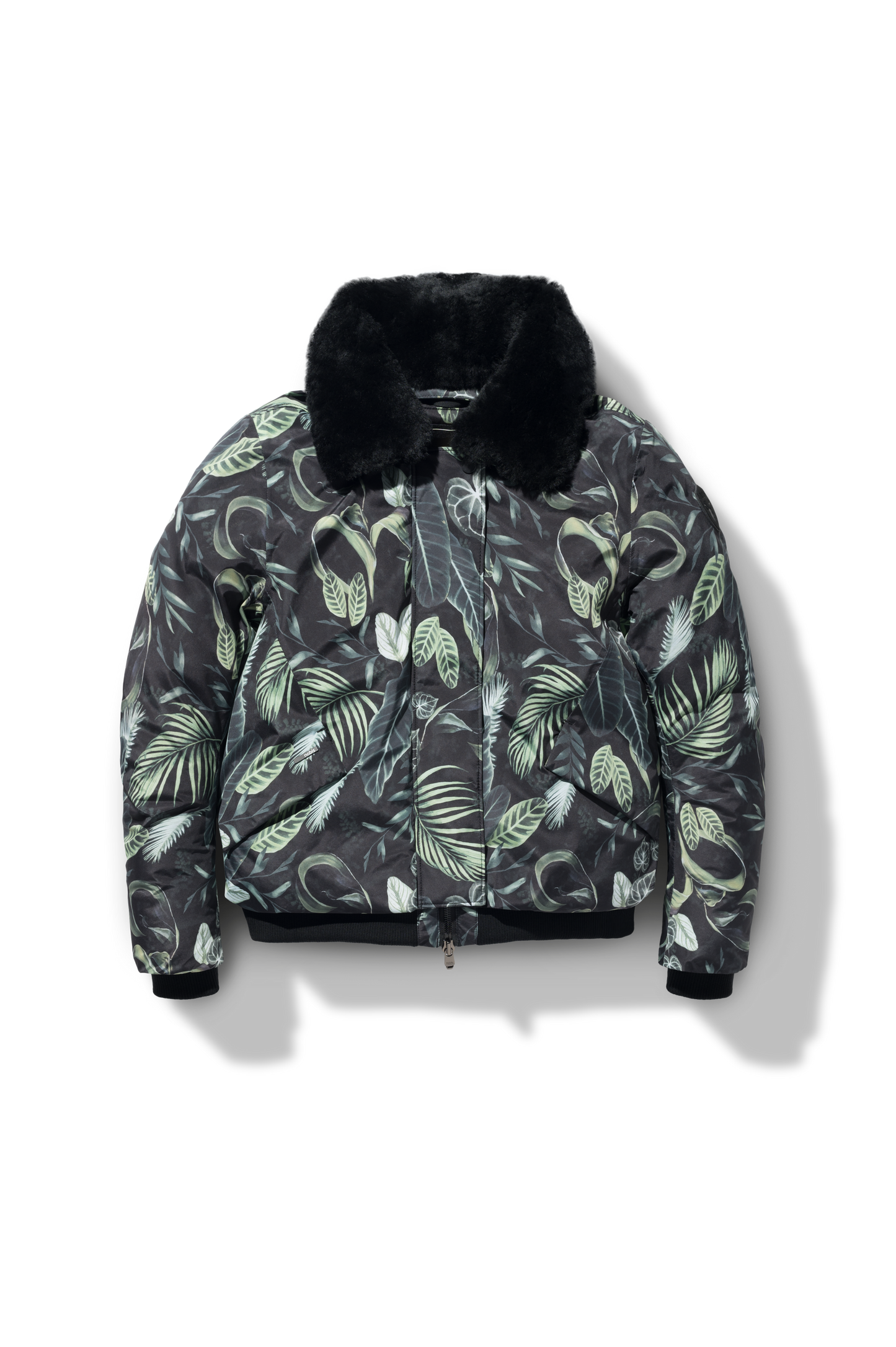 flat-lay-image Foliage