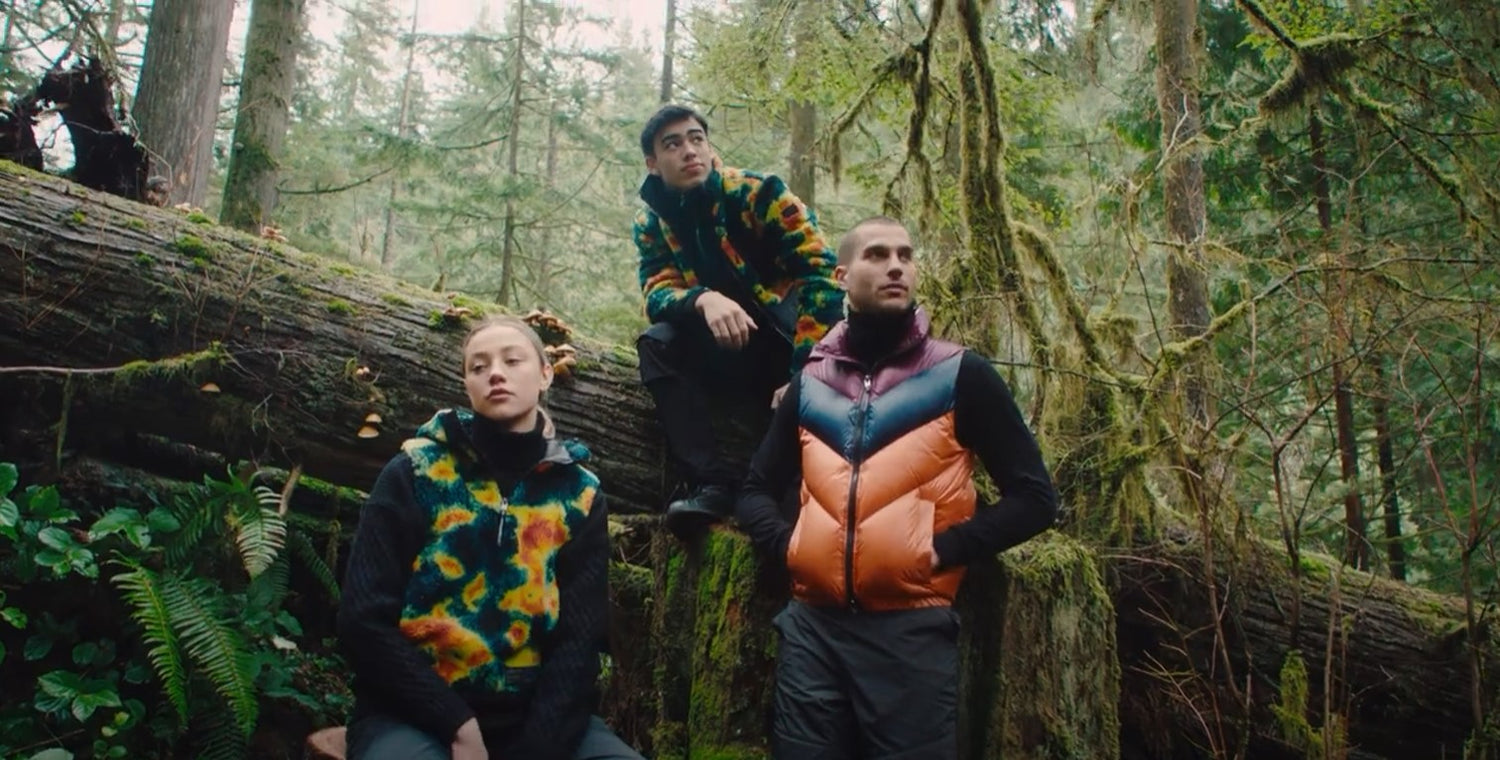 Describe the video